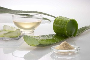 Types of Aloe Vera - Aloe Vera for Hair Loss