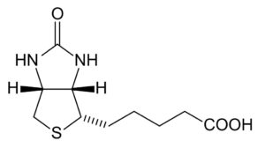 what is biotin - biotin structure